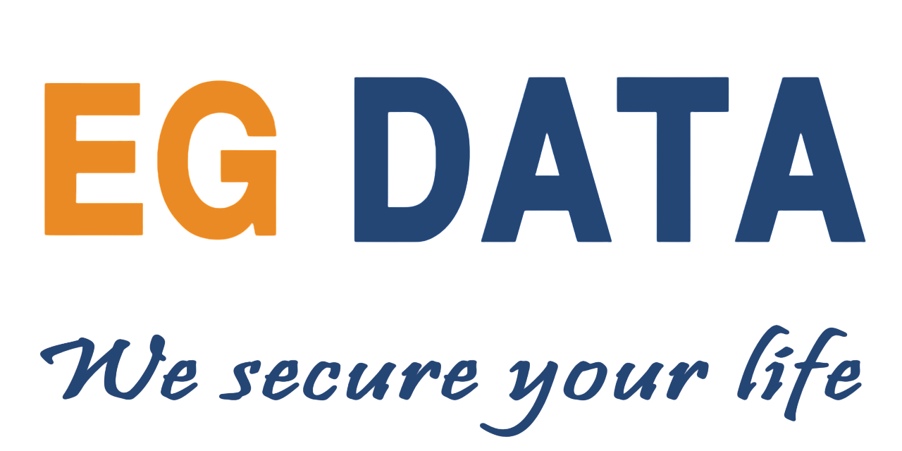 EgData, The Egyptian Company for Data Security